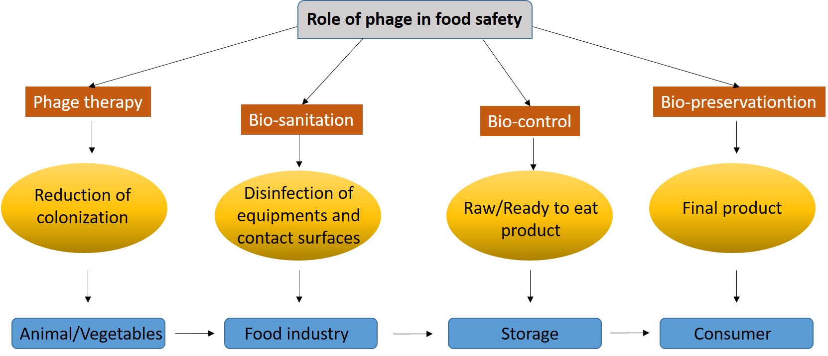 Bacteriophage-Based Biocontrol of Foodborne Pathogens