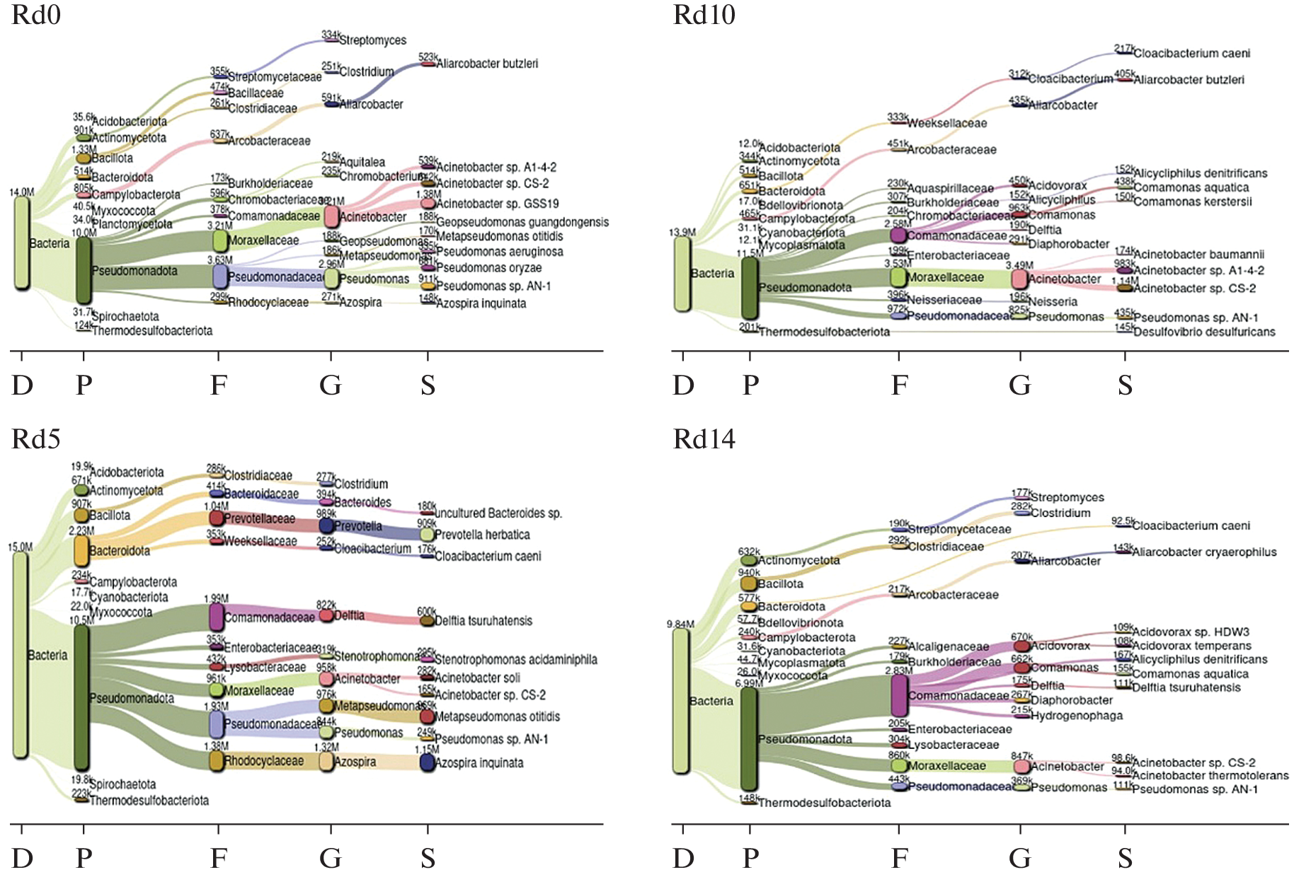 New Metagenomic Study Reveals How Microbes Drive Jute Retting and Fiber Release