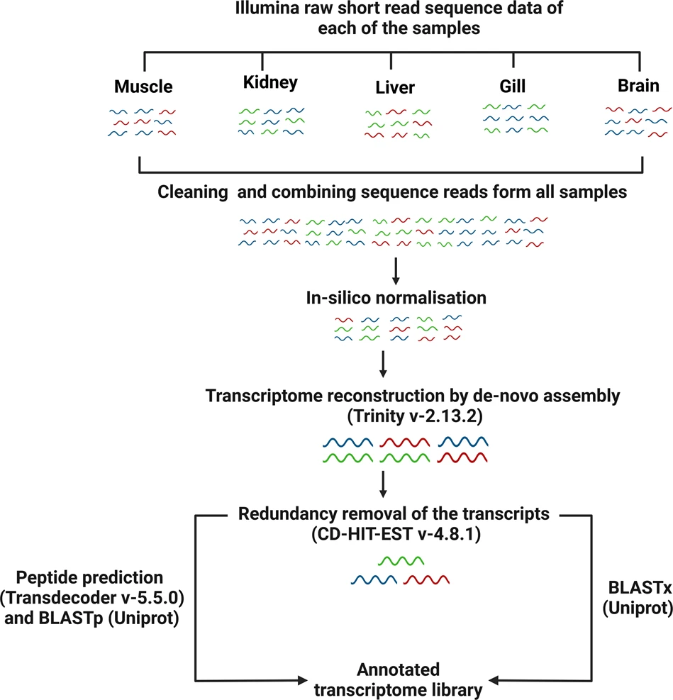 Integrated Hilsa Transcriptome Catalog Published as a Resource for Gene Discovery